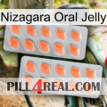 Nizagara Oral Jelly 27